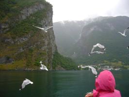 P1000996.jpg