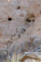 Sastago 069.jpg