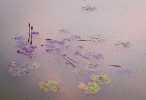 OI TREGOR Impressions_Daniel-GARDAN.jpg