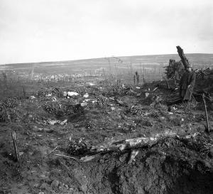 Images-de-guerre-5.jpg